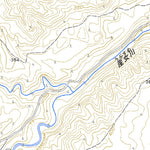 Pacific Spatial Solutions, Inc. 584037 本寺 （ほんでら Hondera）, 地形図 digital map