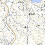 Pacific Spatial Solutions, Inc. 584104 伊里前 （いさとまえ Isatomae）, 地形図 digital map