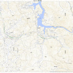 Pacific Spatial Solutions, Inc. 584172 野手崎 （のでさき Nodesaki）, 地形図 digital map