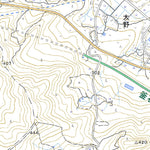 Pacific Spatial Solutions, Inc. 584172 野手崎 （のでさき Nodesaki）, 地形図 digital map