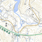 Pacific Spatial Solutions, Inc. 584172 野手崎 （のでさき Nodesaki）, 地形図 digital map