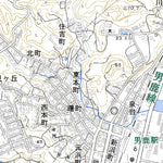 Pacific Spatial Solutions, Inc. 593966 船川 （ふなかわ Funakawa）, 地形図 digital map