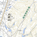 Pacific Spatial Solutions, Inc. 594004 金沢本町 （かねざわもとまち Kanezawamotomachi）, 地形図 digital map