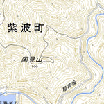 Pacific Spatial Solutions, Inc. 594120 志和 （しわ Shiwa）, 地形図 digital map