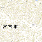Pacific Spatial Solutions, Inc. 594146 峠ﾉ神山 （とうげのかみやま Togenokamiyama）, 地形図 digital map