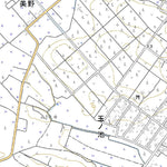 Pacific Spatial Solutions, Inc. 603907 大潟 （おおがた Ogata）, 地形図 digital map