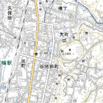 Pacific Spatial Solutions, Inc. 604026 花輪 （はなわ Hanawa）, 地形図 digital map