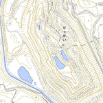 Pacific Spatial Solutions, Inc. 604154 新井田 （にいだ Niida）, 地形図 digital map