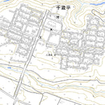 Pacific Spatial Solutions, Inc. 614122 平沼 （ひらぬま Hiranuma）, 地形図 digital map