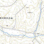 Pacific Spatial Solutions, Inc. 654224 置杵牛 （おききにうし Okikiniushi）, 地形図 digital map