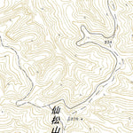 Pacific Spatial Solutions, Inc. 664125 力昼（りきびる Rikibiru）, 地形図 digital map