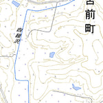 Pacific Spatial Solutions, Inc. 664135 苫前（とままえ Tomamae）, 地形図 digital map