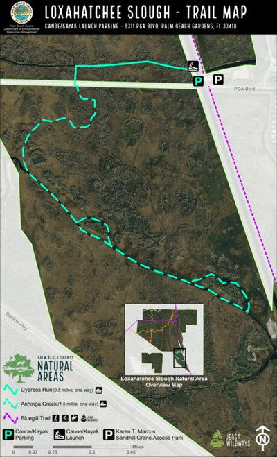 Palm Beach County Department of Environmental Resources Management (ERM) Loxahatchee Slough Natural Area - Trail Guides Bundle bundle