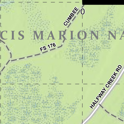 Swamp Fox Passage (Section 1) of the Palmetto Trail Preview 2