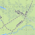 Swamp Fox Passage (Section 3) of the Palmetto Trail Preview 3