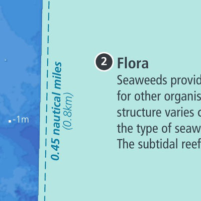 Parks Victoria Mushroom Reef Marine Sanctuary Visitor Guide digital map