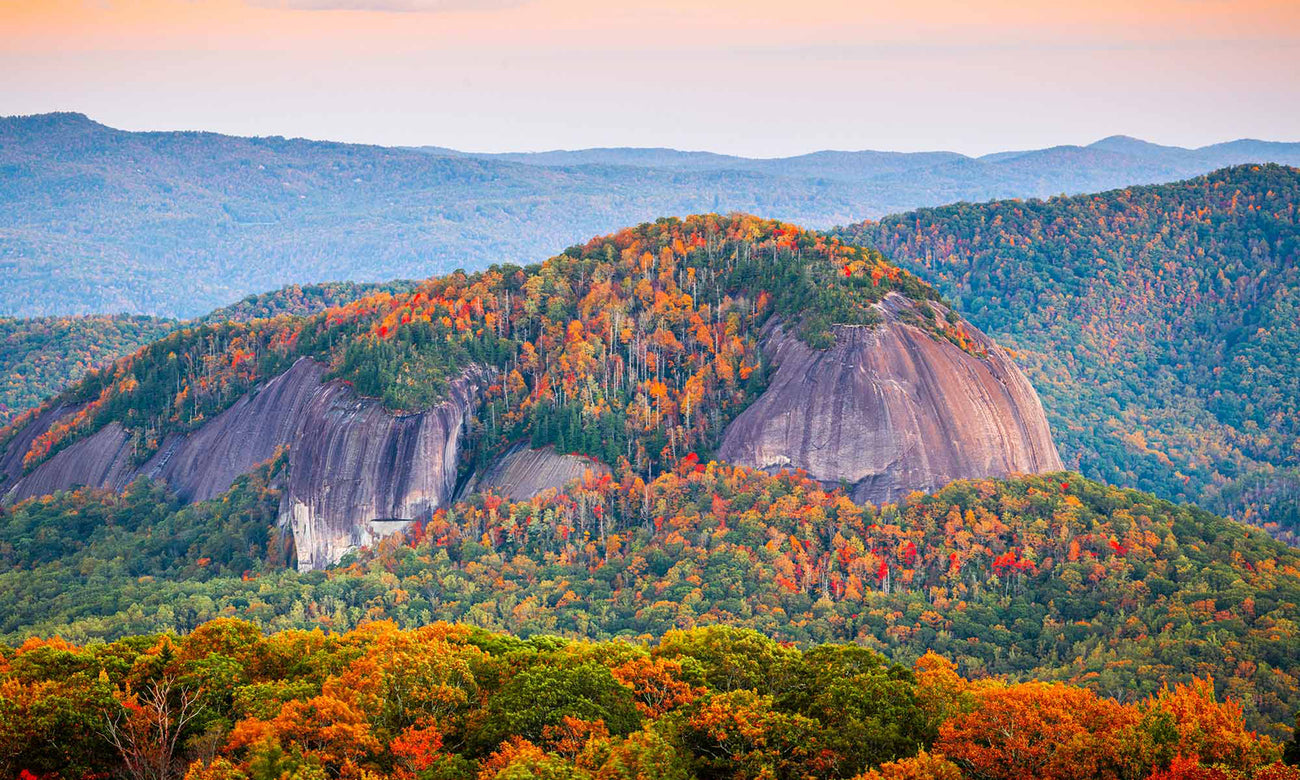 Pisgah National Forest