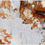 Paso Reichert - Altiplano Argentina - Campos de Hielo Sur 1/25.000 Preview 1