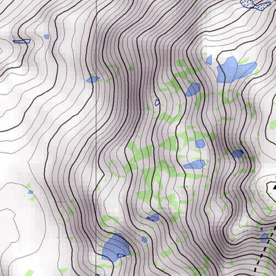Pixmap Cartografía Digital Cerro Bonete Chico 1/50.000 digital map