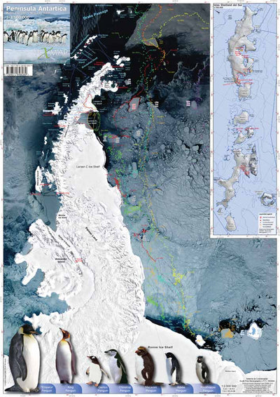 Pixmap Cartografía Digital Peninsula Antartida digital map