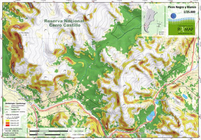 Pixmap Cartografía Digital Pico Negro y Pico Blanco digital map