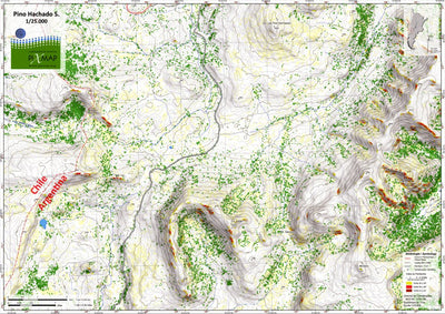 Pixmap Cartografía Digital Pino Hachado 1/25.000 digital map