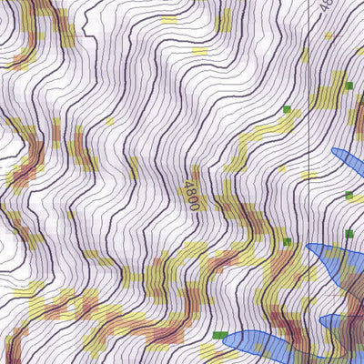 Pixmap Cartografía Digital Volcán Cotopaxi 1/25.000 PRELIMINARY MAP digital map