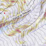Pixmap Cartografía Digital Volcan Lanín 1/25.000 digital map