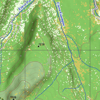 Pixmap Cartografía Digital Volcan Quetrupillan 1/50.000 digital map