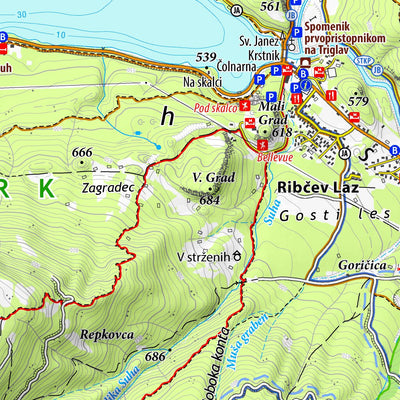 Planinska zveza Slovenije Bohinj 1:25.000 PZS digital map
