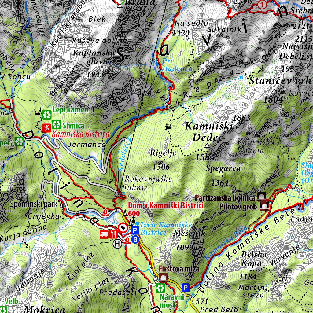 Kamnik - Savinja Alps - 1:50.000 PZS Map by Planinska zveza Slovenije ...
