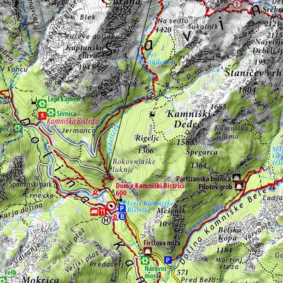 Planinska zveza Slovenije Kamnik - Savinja Alps - 1:50.000 PZS digital map