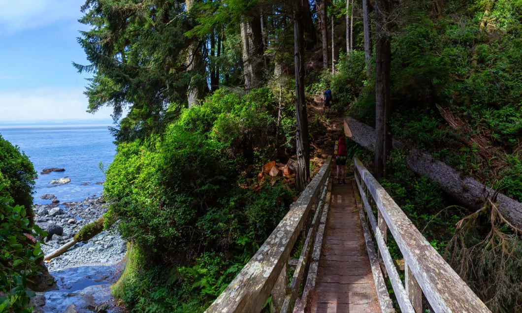 People hiking Juan de Fuca Trail on the Pacific Ocean Coast 