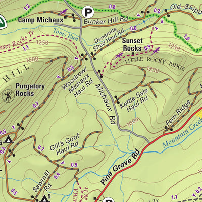 Purple Lizard Maps Michaux State Forest Lizard Map, PA bundle