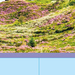 Islandmap Sylt 2025 Preview 3