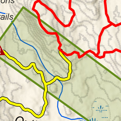 Libby Hill Forest Trails - Jan 2026 Preview 3