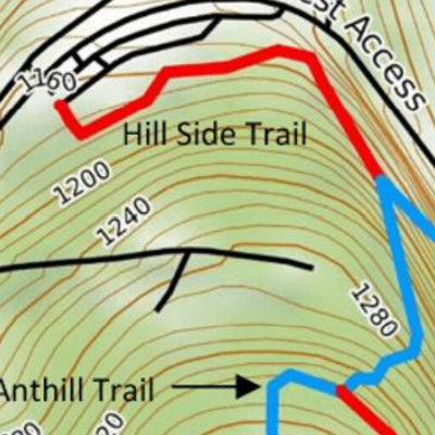 Binghamton University Campus Trails Preview 3