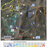 Sandy Tracks Post Oak Challenge 1/4 1/2 Marathon digital map