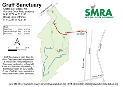 Graff Sanctuary Preview 1