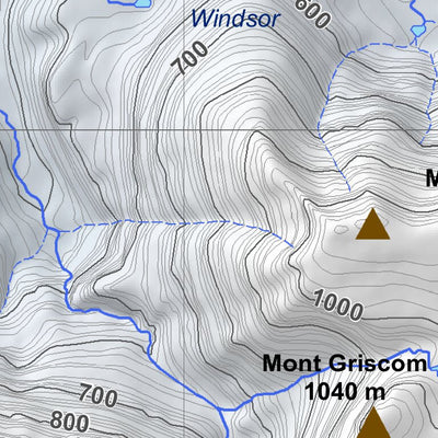Parc national de la Gaspésie - Terrain avalancheux du Mont Logan Preview 3