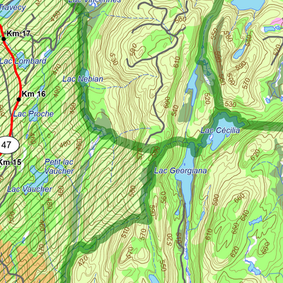 Réserve faunique Rouge-Matawin : Carte générale de chasse à l'orignal 2026 Preview 3