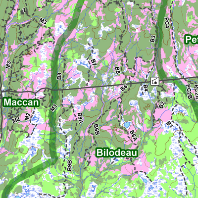 Sépaq Anticosti (secteur est): Carte générale de chasse au cerf 2026 Preview 3