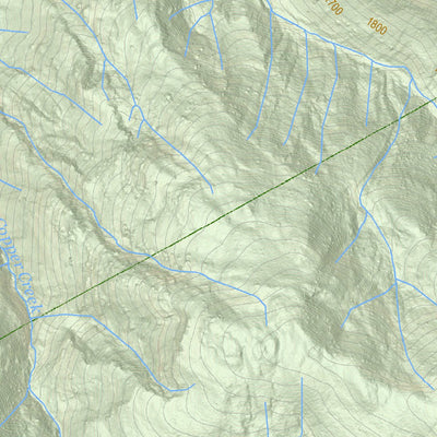 Skagit County GIS 2018 Skagit Topo Big Devil Peak digital map
