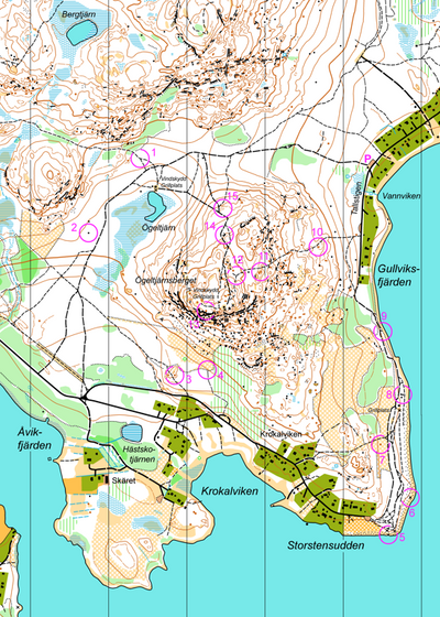 Friska Örnsköldsvik 2026 - Storstensudden #1 Preview 1