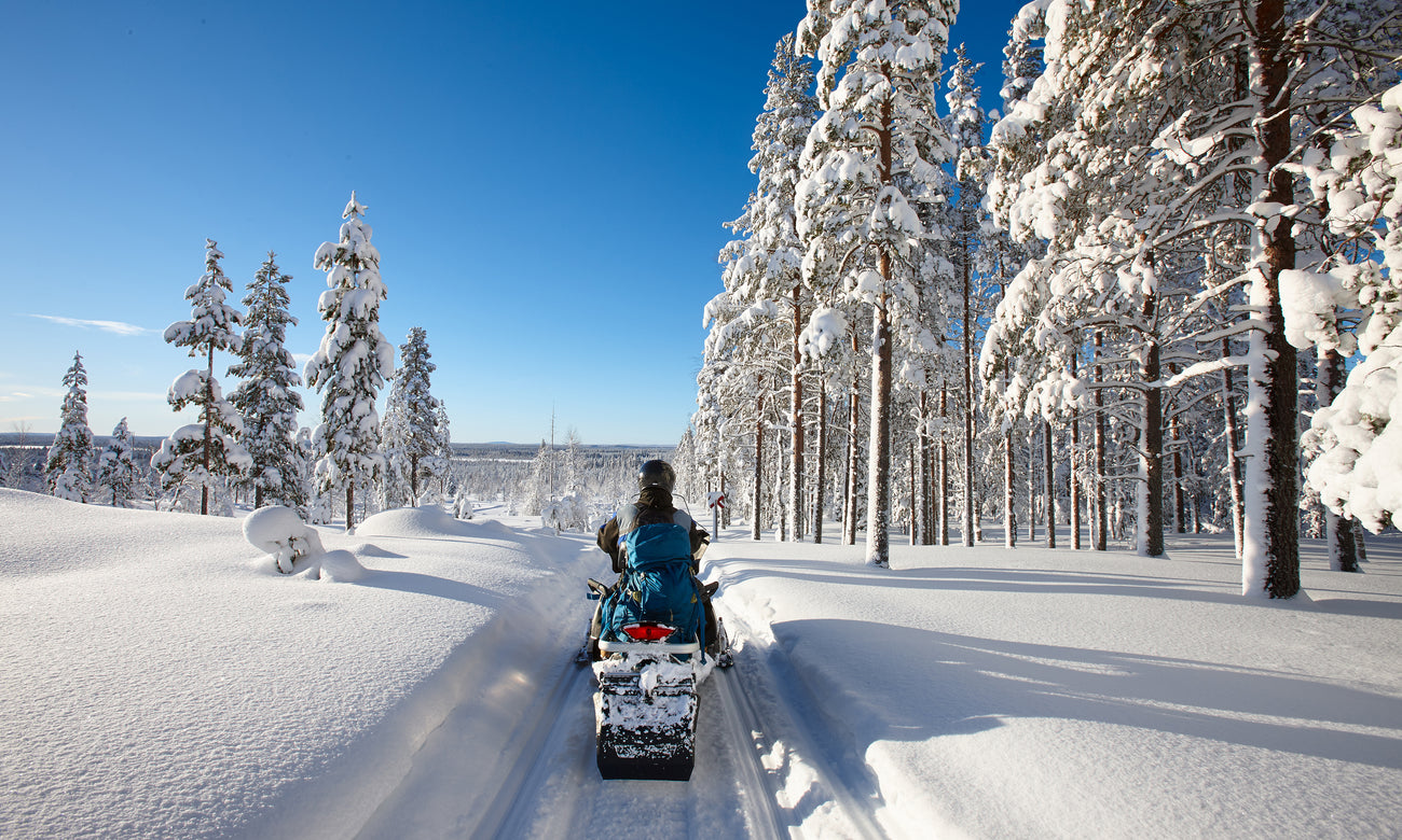 Snowmobiler riding through a snowy forest