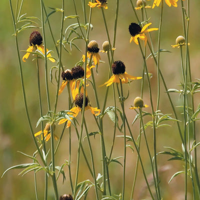 Sportsman's Connection Central-Northwest MN All-Outdoors Atlas & Field Guide pg. 028-029 digital map