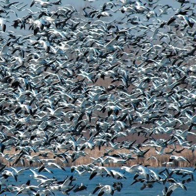 Sportsman's Connection Central-Northwest MN All-Outdoors Atlas & Field Guide pg. 046-047 digital map