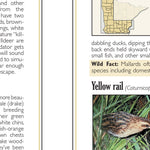 Sportsman's Connection Central-Northwest MN All-Outdoors Atlas & Field Guide pg. 148-149 digital map
