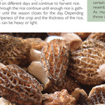 Sportsman's Connection Northern WI All-Outdoors Atlas & Field Guide pg. 028-029 digital map