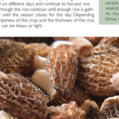 Sportsman's Connection Northern WI All-Outdoors Atlas & Field Guide pg. 028-029 digital map